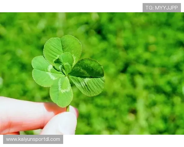 掌握开运网址的正确打开方式，让你的好运气源源不断不断增加