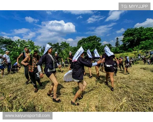 如何安全高效地完成开云体育的下载安装及设置操作详细教程